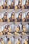9rbw379wqh8v_xt