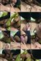 q26wq2qtk3hs_xt
