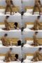 fj9q15p1irc5_xt