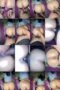 tii0p71zyfpb_xt