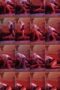 7eih2wlwpkss_xt