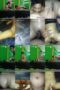 9c6ahwybexmu_xt